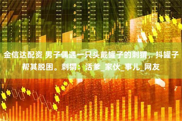 金信达配资 男子偶遇一只头戴罐子的刺猬，抖罐子帮其脱困。刺猬：活爹_家伙_事儿_网友