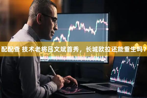 配配查 技术老将吕文斌首秀，长城欧拉还能重生吗？