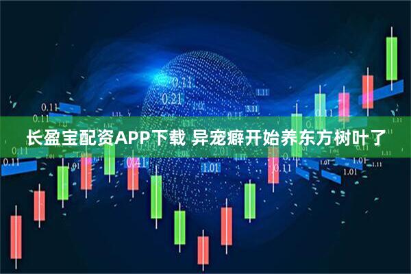 长盈宝配资APP下载 异宠癖开始养东方树叶了